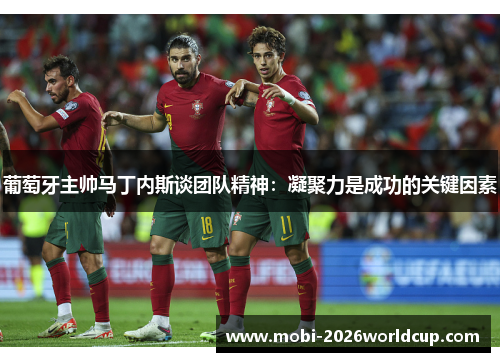 葡萄牙主帅马丁内斯谈团队精神：凝聚力是成功的关键因素