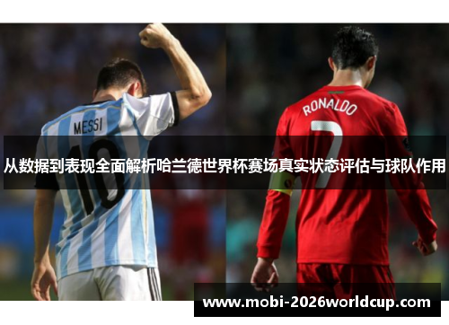 从数据到表现全面解析哈兰德世界杯赛场真实状态评估与球队作用 从数据到表现全面解析哈兰德世界杯赛场真实状态评估与球队作用